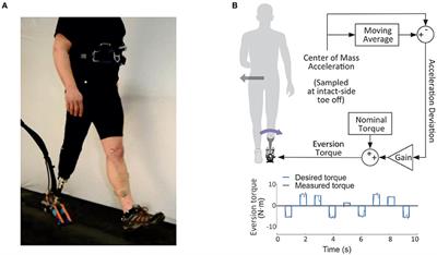 Step-to-Step Ankle Inversion/Eversion Torque Modulation Can Reduce Effort Associated with Balance